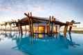 Hard Rock Hotel Los Cabos Pulse Swim Up Bar