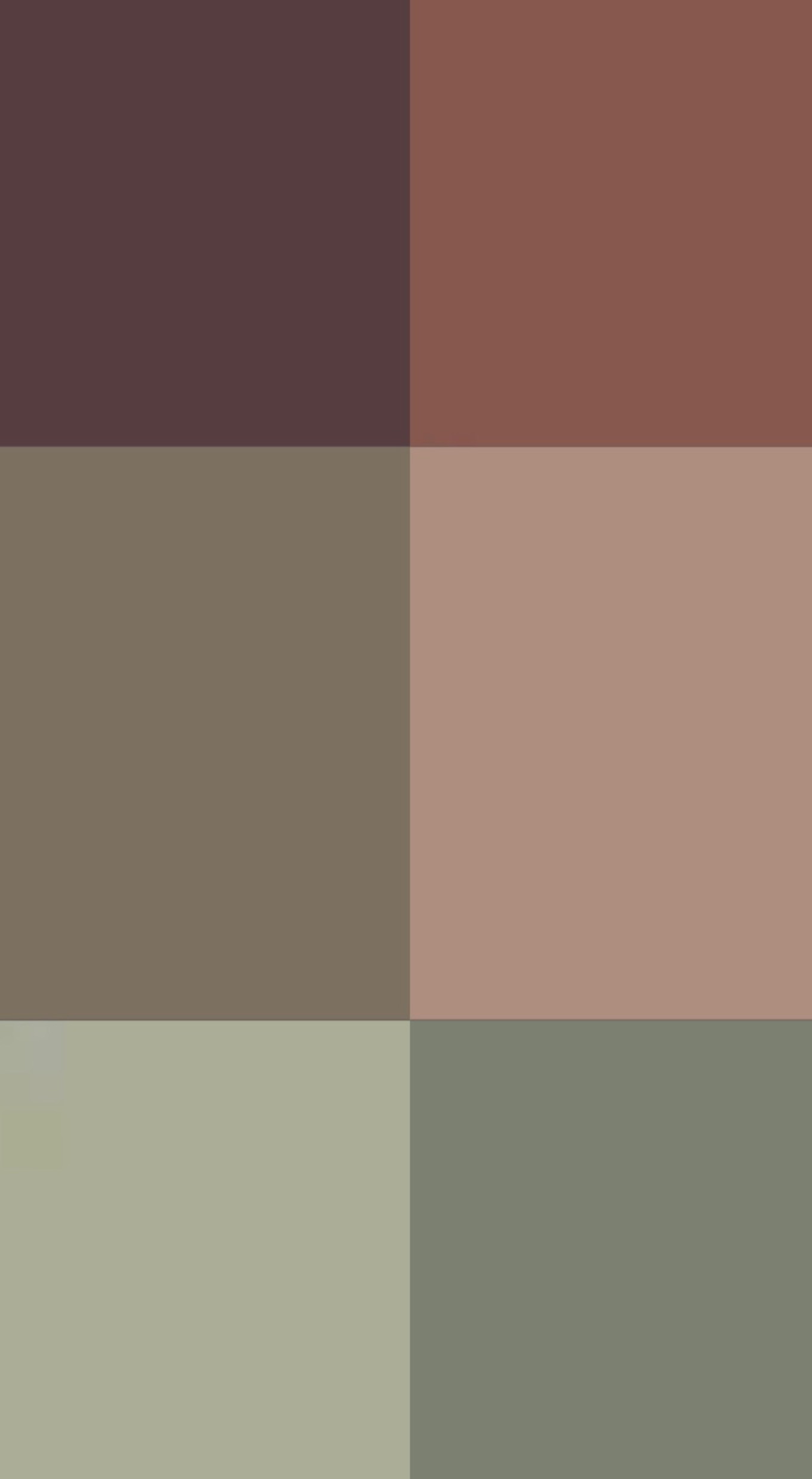 ceg8qq_1738467012893.jpeg